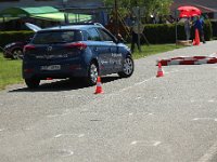 IMG 9731