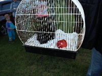 IMG 0966