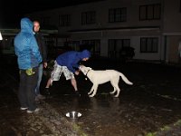 IMG 8902