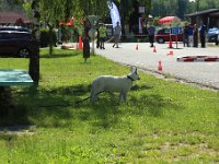 IMG 9640