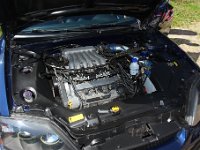 IMG 9687