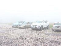 IMG 9104