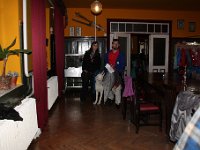 IMG 9134