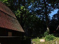 IMG 9665