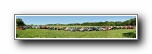 Klikni pro zv�t�en�