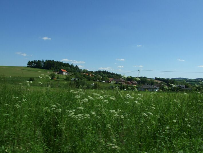 Obr�zek 123