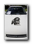 Klikni pro zv�t�en�