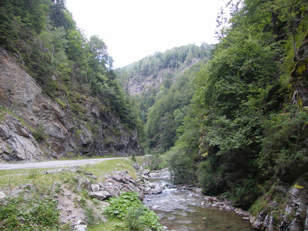 DSCF0015