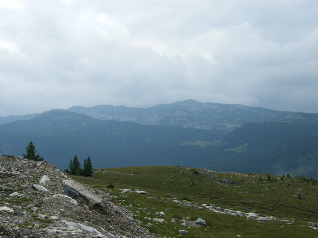 DSCF0040