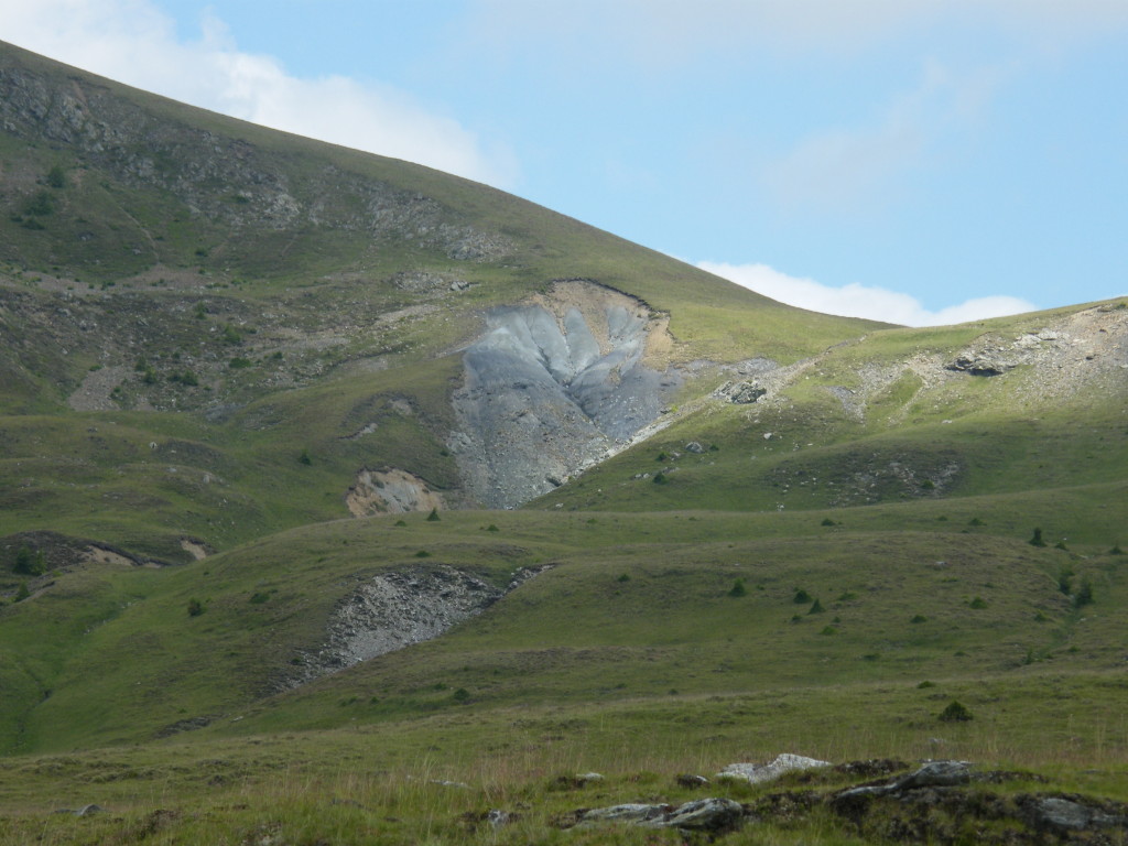 DSCF0053