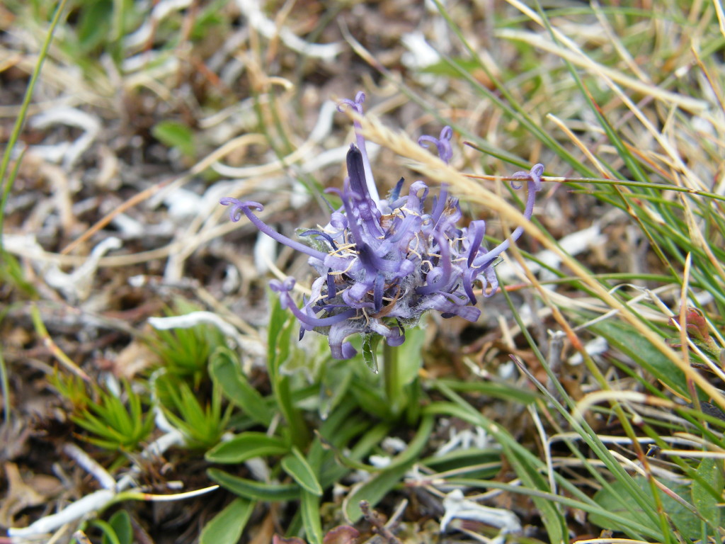 DSCF0075