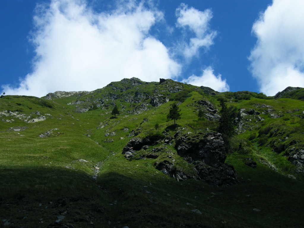 DSCF0262