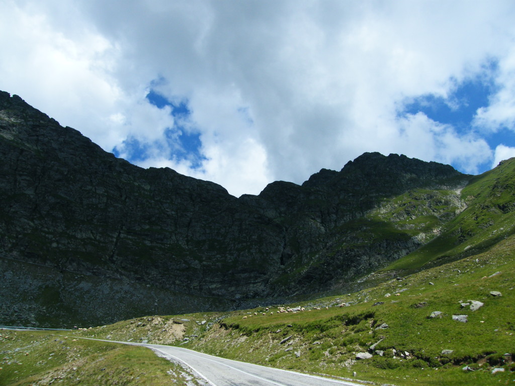 DSCF0270
